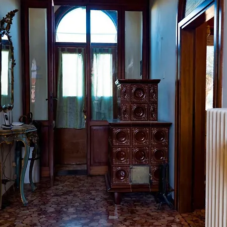 Zona Mostra Del Cinema